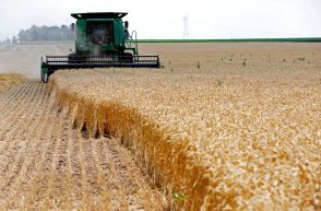 世界食料価格、5月は3カ月連続上昇　穀物など押し上げ＝国連