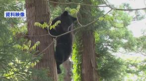 「路上に体長１ｍ位のクマがいた」　長岡市の市道でクマを目撃　市や警察が警戒中　《新潟》