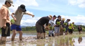 障害者の就労支援につなげる　加東市で山田錦の田植え体験／兵庫県