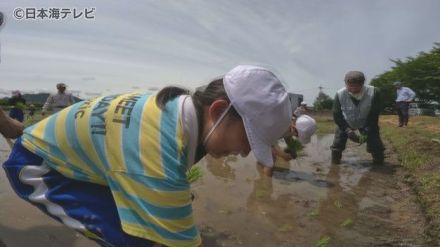 自分たちが食べる米の苗を自分たちで　小学生が田植えに初挑戦　島根県出雲市