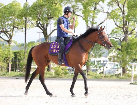 【宝塚記念】ファン投票１位ドウデュース　ＧＰ連覇へ反撃態勢万全