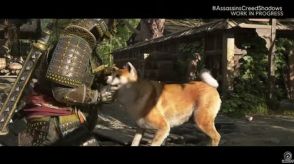 「アサシン クリード シャドウズ」では柴犬を撫でられる！ ゲームプレイ映像が紹介