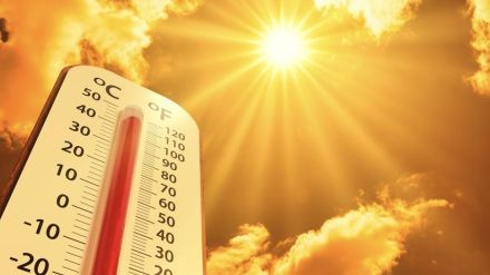 暑さが止まらない…世界平均気温が12カ月連続で過去最高更新