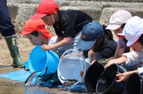 「大きくなって帰ってきてね」小学生が放流したのは、あの高級食材の稚魚400匹