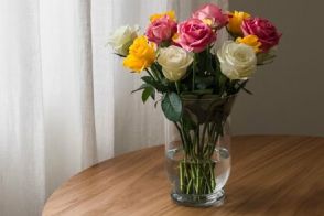 【ガーデニング】お庭で育てたバラをお部屋でも楽しみたい！おすすめのバラ5品種＆切り花が長持ちする「ほんのひと手間」