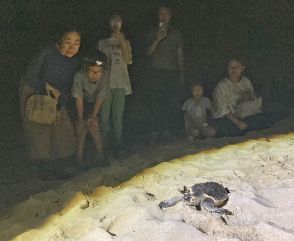 ウミガメの産卵環境保全へ　親子連れなど17人が生態学ぶ　奄美海洋展示館