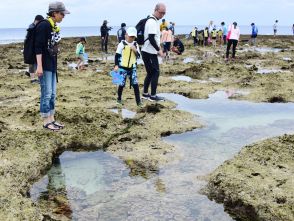 サンゴ礁の生き物に歓声　沖永良部島で観察会　地元の小中学生と保護者ら参加