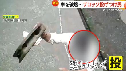 【独自】リアガラスが粉々に…“ブロック投げつけ男”が車を破壊　「通り魔的なかんじ」修理に約15万円　神奈川・大和市