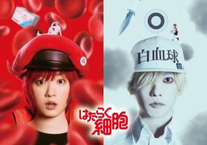 『はたらく細胞』の実写映画が2024年12月に公開決定。永野芽郁さんが「赤血球」、佐藤健さんが「白血球」を演じる特報映像もお披露目