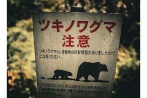 登山口からわずか100m…八つ裂きの死骸発見　「これはもしやクマの仕業では…」記者が目撃した戦慄の光景