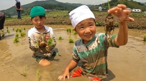 「おいしいお米になって」小学生が園児と田植えを体験　水田の泥の感触を楽しむ　大分