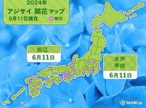 水戸・甲府・松江でアジサイが開花　いずれも平年より1週間以上早い　恵みの雨は?
