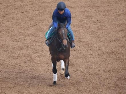 コンテナラインなど、先週のゲート試験/栗東トレセンニュース