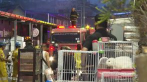 日本人客に人気のタイ・バンコク市場で火災　ペット1000匹以上焼け死ぬ