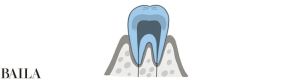 虫歯、歯周病、知覚過敏。歯のトラブルは正しい知識を身につけて予防！【働く30代が知っておくべき歯のすべて】