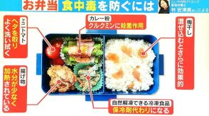 お弁当の食中毒を防ぐには?「カレー粉で殺菌」「トマトのヘタは取る」「冷凍食品を保冷剤代わりに」専門家に聞く