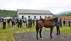 長い歴史を誇る三石地区の1歳馬品評会　生産者の管理技術は年々高まっている【村本浩平コラム】