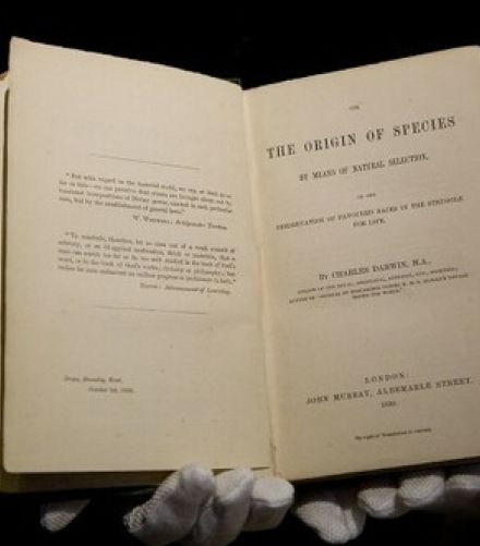 じつは『種の起源』に「適者生存」は一度も使われていなかった…いつ「適者生存」はダーウィンの進化論の原理になったのか？