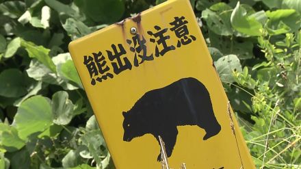 「目の前にクマが飛び出してきた」軽ワゴン車とクマが衝突　けが人なし　仙台