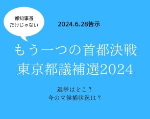 東京都知事選挙だけじゃない、もう一つの首都決戦・都議補選2024！選挙はどこ？今の立候補状況まとめ