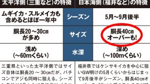 ［仕掛け図で解説］オモリグ&オバマリグの効果的な使い分け！イカメタルの基本おさらい！