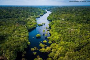 干上がったアマゾン大丈夫？―流域の乾燥化と熱帯林の減少が地球温暖化を加速する