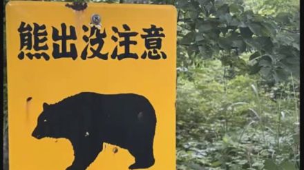 【速報】幼稚園の園庭でクマ目撃 園児などけがなし 警察が付近を警戒〈宮城・気仙沼市〉