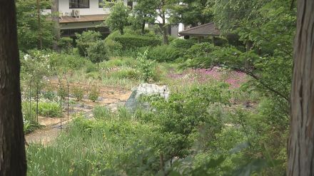 温泉の露天風呂は当面休止に クマに襲われ旅館の女将が重傷「木の芽やドングリなどが少なくなって…」ツキノワグマか