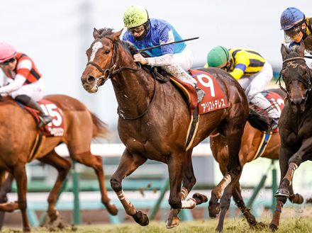 21年AJCC覇者アリストテレスが登録抹消 今後は阪神競馬場で乗馬に