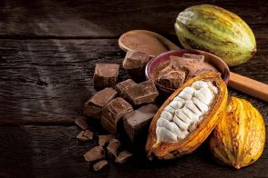カカオに新たな可能性、血糖値の上昇を抑える「チョコレート革命」
