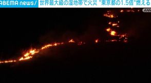 ブラジル 世界最大級の湿地帯で火災 東京都の約1.5倍が焼失