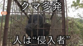 クマにとって”人”は「侵入者」で「えさ」なのか　初夏が危険な理由と行政の動きは　街では「追い払い」が前提で射殺の手続に2時間!?　私たちがするべき熊対策は（山形）