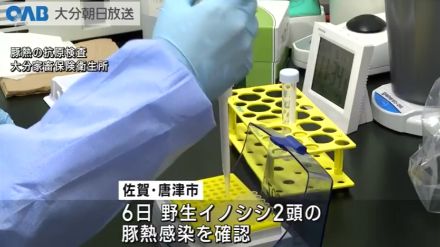 【大分】佐賀の豚熱受け　県が養豚場に注意呼び掛け