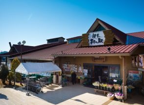 甘くてジューシーな「朝どれとうもろこし村のコーン」　「伊豆・村の駅」で6月中旬から販売スタート