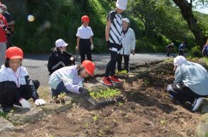 アサギマダラ「おいでませ作戦」　本山小、赤崎小児童が竜王山に花の苗【山陽小野田】