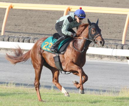 【ＰＯＧ】クイーンＣ勝ち馬が母のドゥカートがスタンバイ　宮田調教師「弾みがあっていい馬」