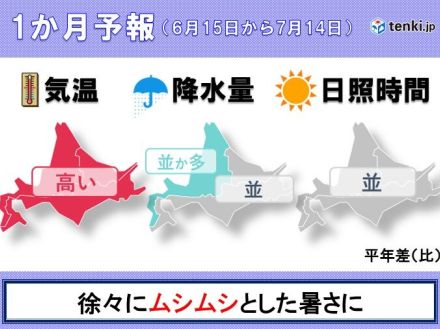 北海道の1か月予報　高めの気温が続き　ムシムシとした暑さが増える