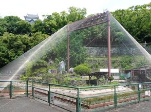 和歌山城公園動物園の「水禽園」再開　水鳥たちが元気な姿見せる