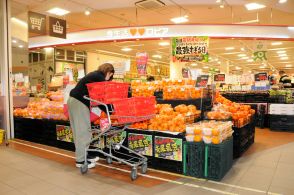 ロピア、5年で北海道内25店舗出店　札幌・屯田店は11月開業方針