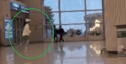 仁川空港でカップルがテニス…警察と空港公社「お前たちが止めろ」押し付け合い