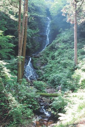 笠取の滝 見やすく　富山県上市町の白萩西部自治振興会、雑木伐採や草刈り