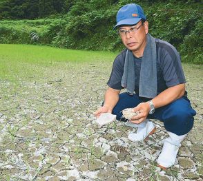 米産地「水足りぬ」　田植え遅れや断念も　昨年からの猛暑・暖冬影響か
