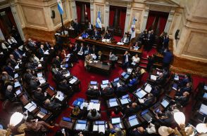 アルゼンチン上院がミレイ大統領の経済改革・緊縮財政法案を承認