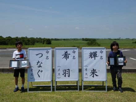 コウノトリのヒナ3羽、愛称決まる　小学生が考え決選投票　栃木