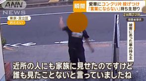 愛車に“コンクリ片”投げつけ…「言葉にならない」持ち主怒り　2分間で2回