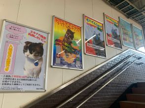 「癒されます」「駅近に引っ越したい！」JR駅構内のじわる猫ポスターに賞賛の声