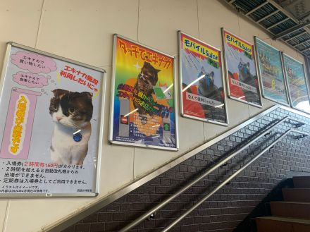 「癒されます」「駅近に引っ越したい！」JR駅構内のじわる猫ポスターに賞賛の声