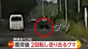 【独自】事故の衝撃で跳ね飛ばされたクマが“2回転”　軽自動車の横っ腹に突撃…車体ヘコませるも走り去る　仙台市