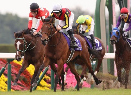 エリザベス女王杯勝ち馬のブレイディヴェーグは新潟記念で復帰へ