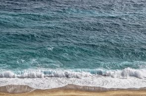 「不吉な兆候？」…韓国鏡浦の砂浜に打ち上げられた「死んだカタクチイワシの群れ」の真相